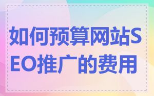 如何预算网站SEO推广的费用