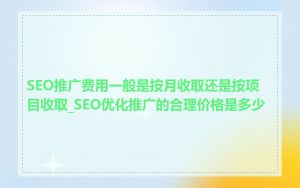 SEO推广费用一般是按月收取还是按项目收取_SEO优化推广的合理价格是多少