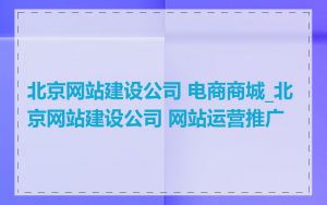 北京网站建设公司 电商商城_北京网站建设公司 网站运营推广