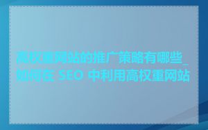 高权重网站的推广策略有哪些_如何在 SEO 中利用高权重网站