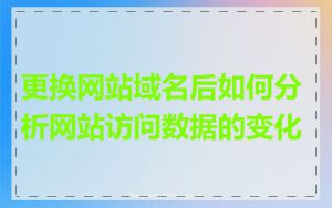 更换网站域名后如何分析网站访问数据的变化