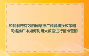 如何制定有效的网络推广预算和投放策略_网络推广中如何利用大数据进行精准营销