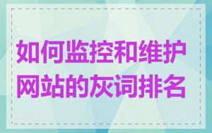 如何监控和维护网站的灰词排名