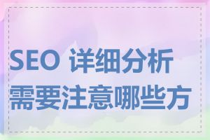 SEO 详细分析需要注意哪些方面