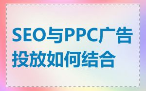 SEO与PPC广告投放如何结合