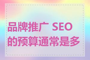 品牌推广 SEO 的预算通常是多少