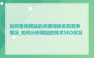 如何查找网站的关键词排名和竞争情况_如何分析网站的技术SEO状况