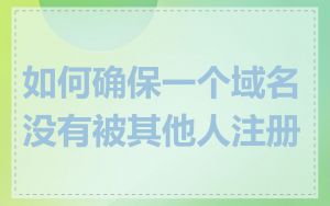 如何确保一个域名没有被其他人注册