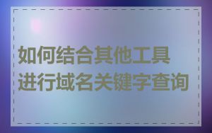 如何结合其他工具进行域名关键字查询