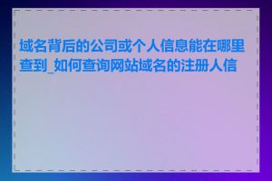 域名背后的公司或个人信息能在哪里查到_如何查询网站域名的注册人信息