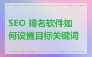 SEO 排名软件如何设置目标关键词