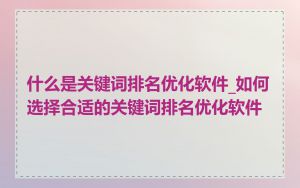 什么是关键词排名优化软件_如何选择合适的关键词排名优化软件