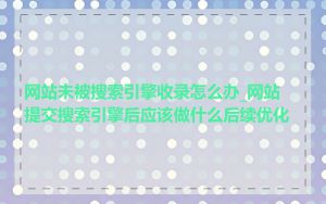 网站未被搜索引擎收录怎么办_网站提交搜索引擎后应该做什么后续优化