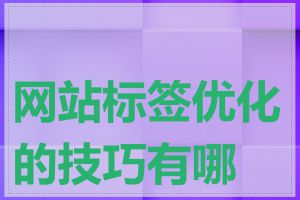 网站标签优化的技巧有哪些