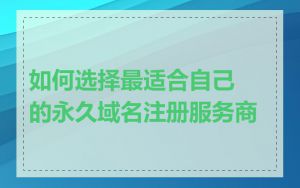 如何选择最适合自己的永久域名注册服务商