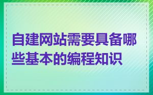 自建网站需要具备哪些基本的编程知识