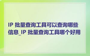 IP 批量查询工具可以查询哪些信息_IP 批量查询工具哪个好用