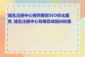 域名注册中心提供哪些SEO优化服务_域名注册中心有哪些诚信纠纷案例