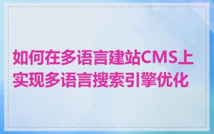 如何在多语言建站CMS上实现多语言搜索引擎优化