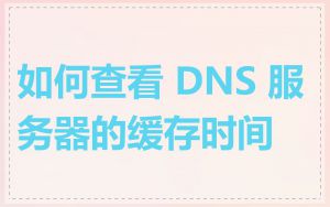 如何查看 DNS 服务器的缓存时间