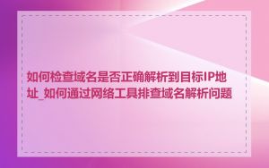 如何检查域名是否正确解析到目标IP地址_如何通过网络工具排查域名解析问题