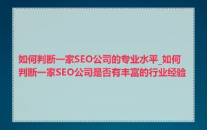 如何判断一家SEO公司的专业水平_如何判断一家SEO公司是否有丰富的行业经验