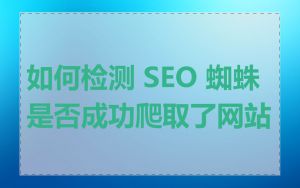 如何检测 SEO 蜘蛛是否成功爬取了网站