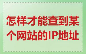 怎样才能查到某个网站的IP地址