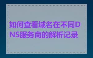 如何查看域名在不同DNS服务商的解析记录