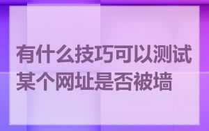 有什么技巧可以测试某个网址是否被墙