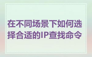 在不同场景下如何选择合适的IP查找命令