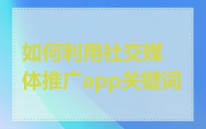 如何利用社交媒体推广app关键词