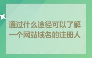 通过什么途径可以了解一个网站域名的注册人