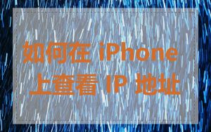 如何在 iPhone 上查看 IP 地址