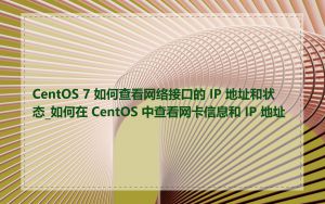 CentOS 7 如何查看网络接口的 IP 地址和状态_如何在 CentOS 中查看网卡信息和 IP 地址