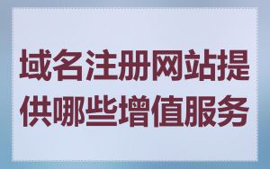 域名注册网站提供哪些增值服务