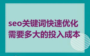 seo关键词快速优化需要多大的投入成本