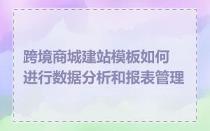 跨境商城建站模板如何进行数据分析和报表管理