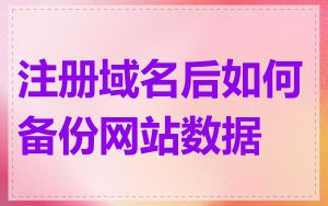 注册域名后如何备份网站数据