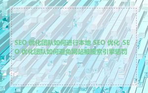 SEO 优化团队如何进行本地 SEO 优化_SEO 优化团队如何避免网站被搜索引擎惩罚