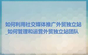 如何利用社交媒体推广外贸独立站_如何管理和运营外贸独立站团队