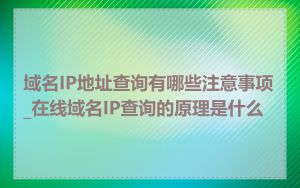 域名IP地址查询有哪些注意事项_在线域名IP查询的原理是什么