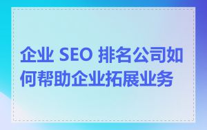 企业 SEO 排名公司如何帮助企业拓展业务