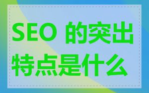 SEO 的突出特点是什么