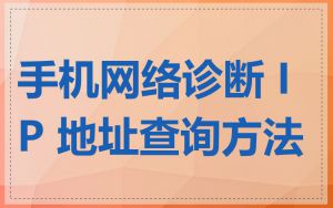 手机网络诊断 IP 地址查询方法