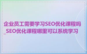 企业员工需要学习SEO优化课程吗_SEO优化课程哪里可以系统学习