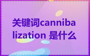 关键词cannibalization 是什么