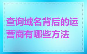 查询域名背后的运营商有哪些方法