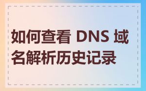 如何查看 DNS 域名解析历史记录