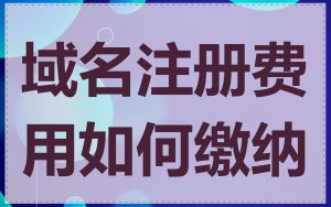 域名注册费用如何缴纳